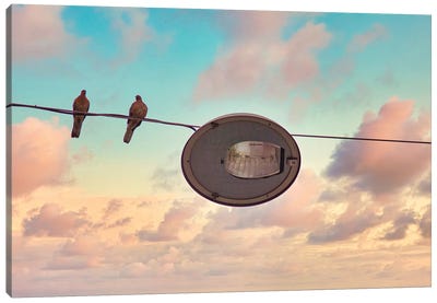 Birds On A Wire Canvas Art Print - Mark Paulda