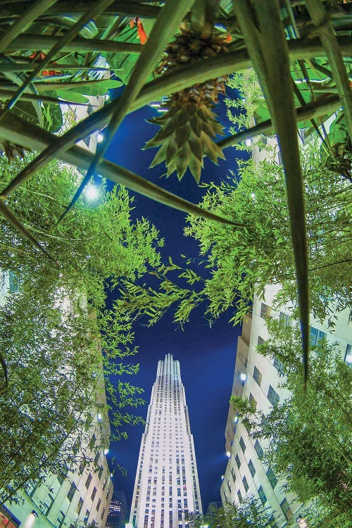 Rockefeller Jungle by Mark Paulda wall art