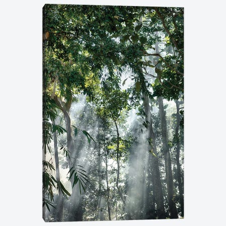 Bali Sunset Rays In The Mist Canvas Print #PAU42} by Mark Paulda Canvas Print