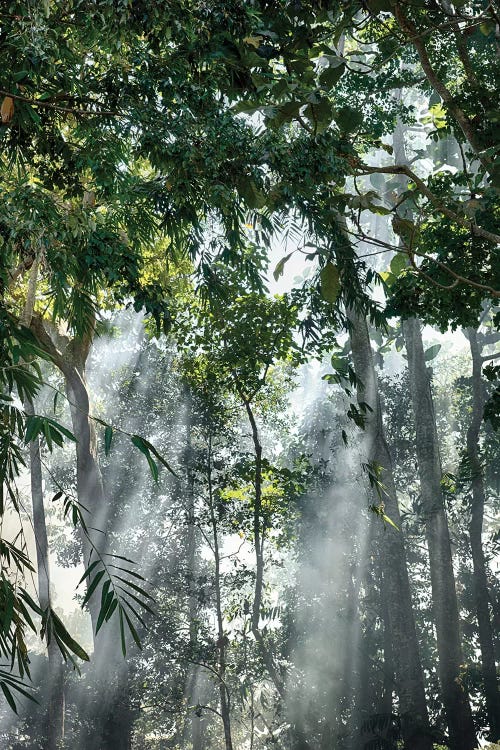 Bali Sunset Rays In The Mist