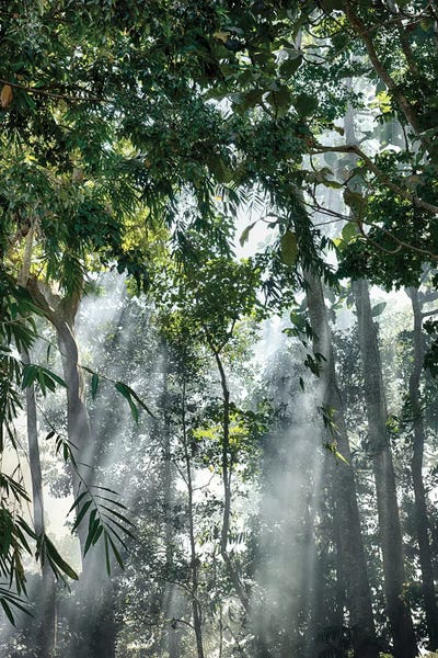 Indonesia: Bali Sunset Rays In The Mist by Mark Paulda