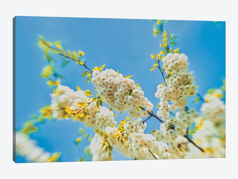 Spring To Life by Mark Paulda 1-piece Canvas Print