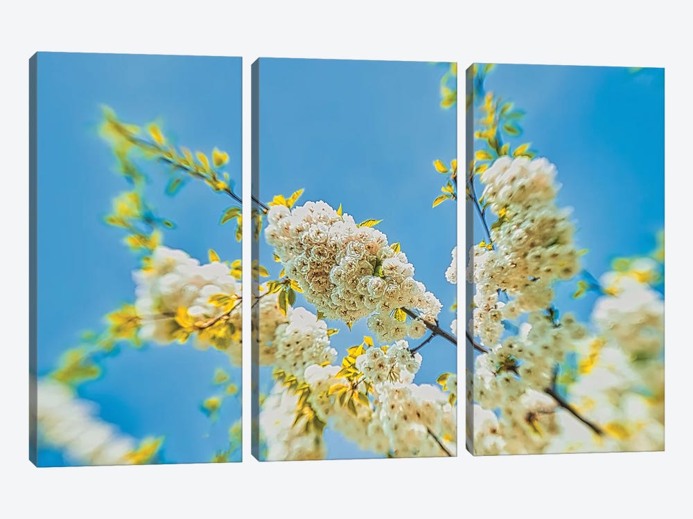 Spring To Life by Mark Paulda 3-piece Canvas Print
