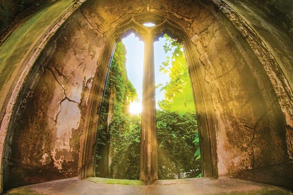 Sunrays Through The Window