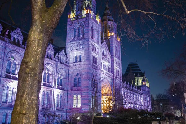 London Natural History Museum