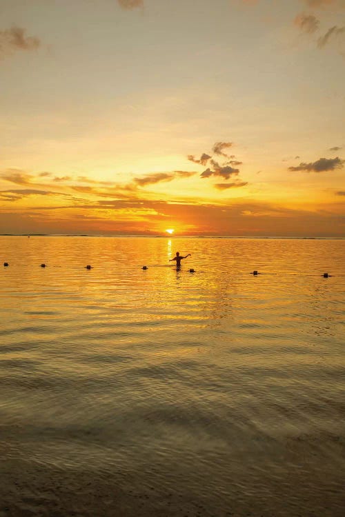 Mauritius Fisherman by Mark Paulda wall art