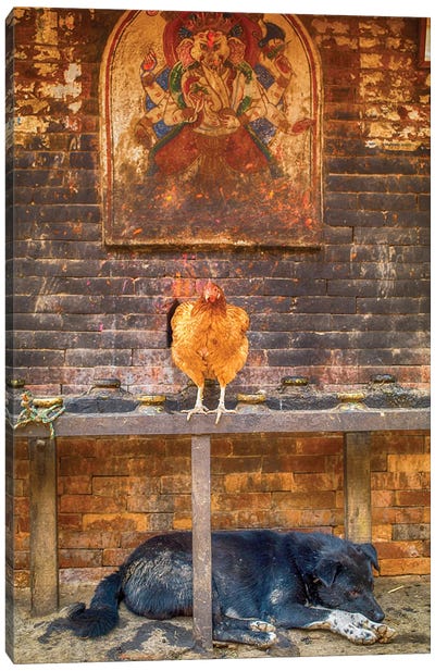 Bhaktapur Nepal Ganesh Hen And Sleeping Dog Canvas Art Print - Indian Décor