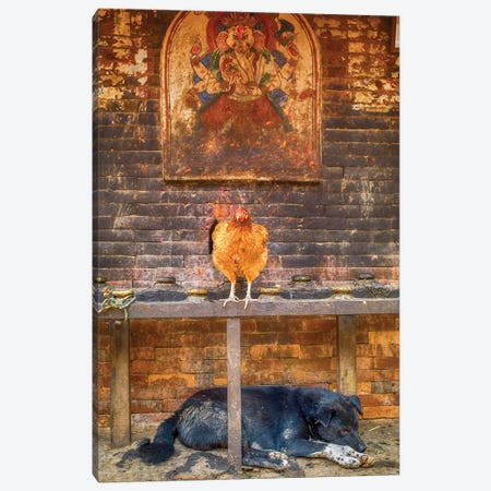 Bhaktapur Nepal Ganesh Hen And Sleeping Dog Canvas Print #PAU64} by Mark Paulda Canvas Wall Art