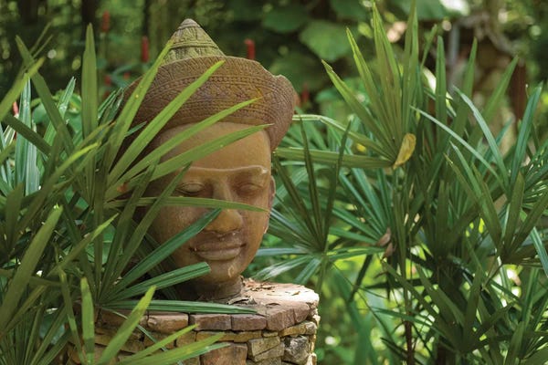 Tropical Leaves: Thailand by Mark Paulda