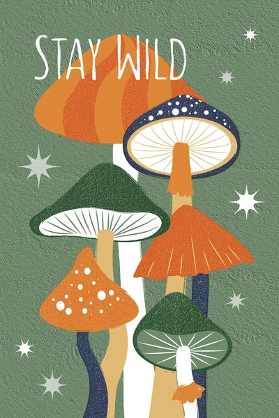 Martina Pavlova: Stay Wild Mushrooms by Martina Pavlova