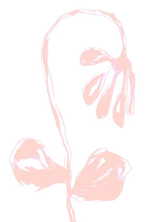 Peach Fuzz Bloom by Martina Pavlova wall art