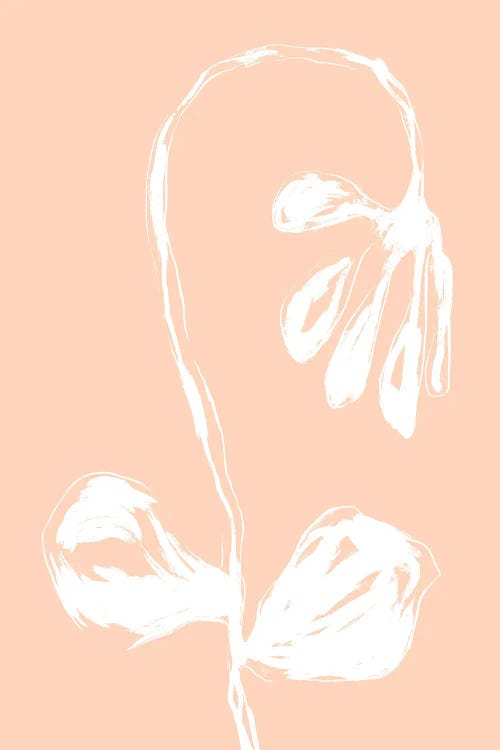 Peach Fuzz Flower by Martina Pavlova wall art