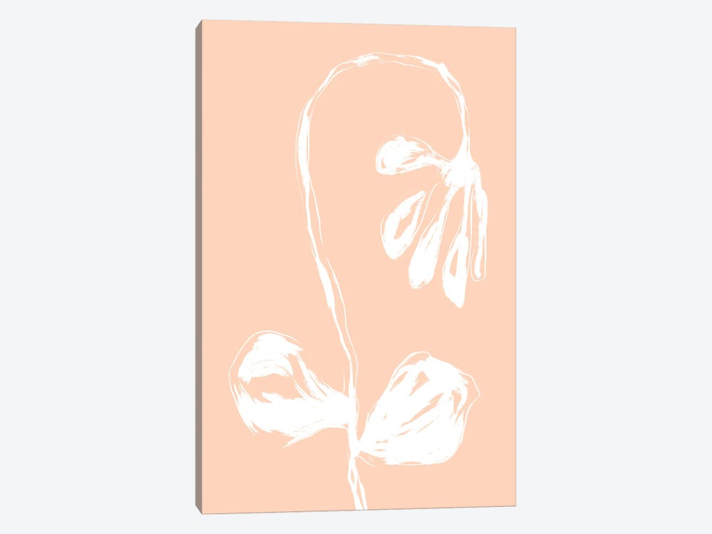 Peach Fuzz Flower by Martina Pavlova 1-piece Canvas Print