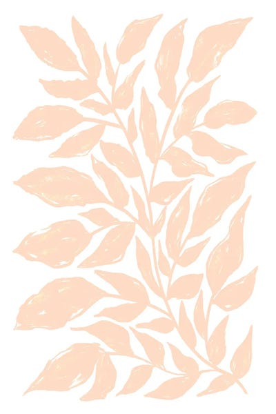 Fine Art Print: Peach Fuzz Plant by Martina Pavlova