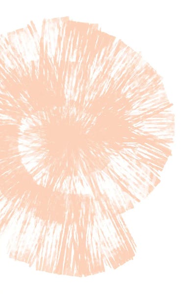 Sea Shells: Peach Fuzz Shell by Martina Pavlova