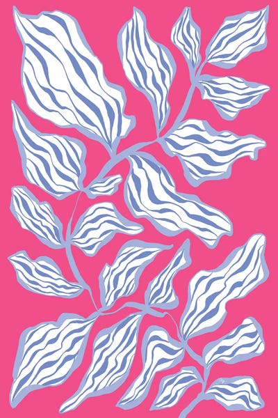 Pink Glory Botanicals by Martina Pavlova framed canvas print