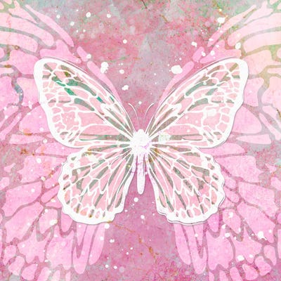 Pink Artsy Butterfly by Martina Pavlova framed wall art