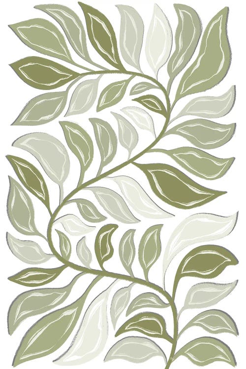 Green Snake Plant by Martina Pavlova wall art