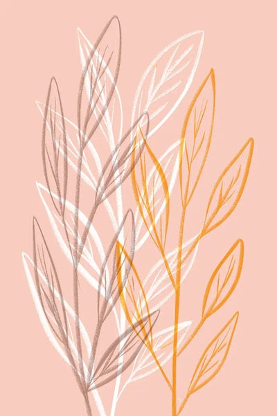 Martina Pavlova: Peach Fuzz Plants by Martina Pavlova