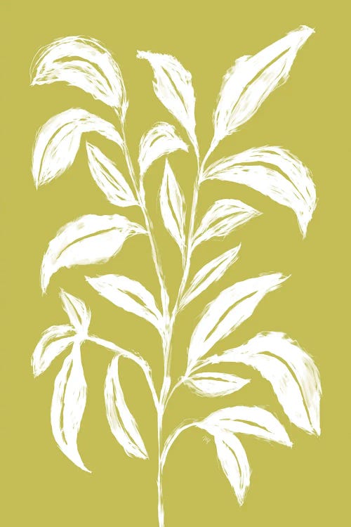 Lime Leafy Plant by Martina Pavlova wall art