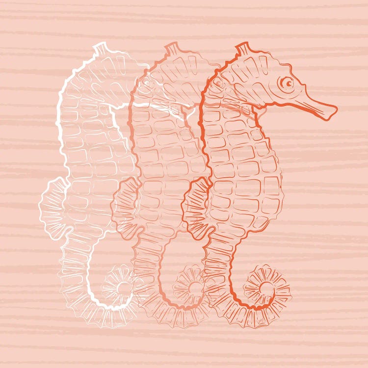 Pink Seahorse