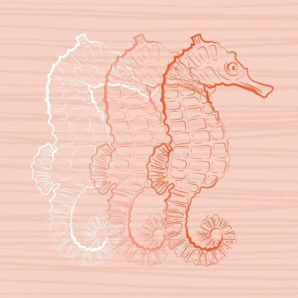 Seahorses: Pink Seahorse by Martina Pavlova