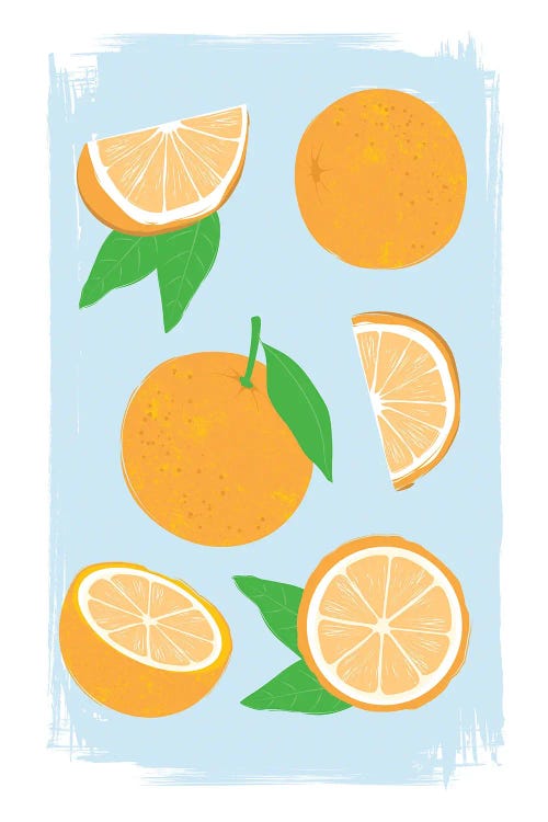 Summer Oranges by Martina Pavlova wall art