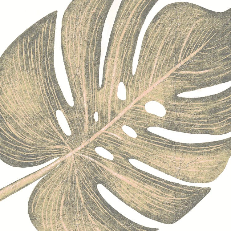 Brown Monstera Leaf One