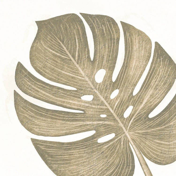 Brown Monstera Leaf Two