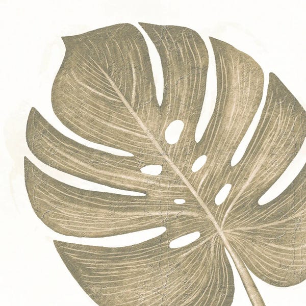 Monsteras: Brown Monstera Leaf Two by Martina Pavlova