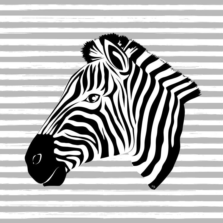 Striped Zebra