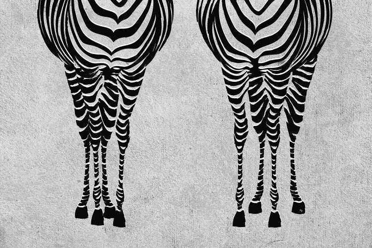 Zebras by Martina Pavlova wall art