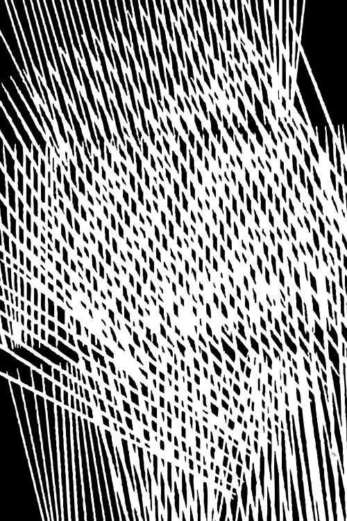 Just Lines by Martina Pavlova wall art
