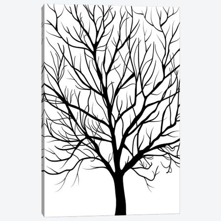 Winter Tree Canvas Print #PAV667} by Martina Pavlova Canvas Artwork
