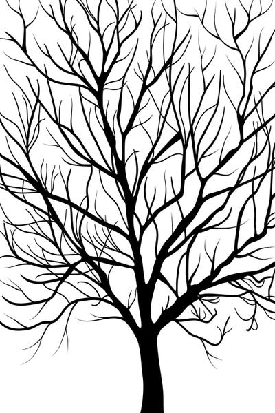 Black & White Florals: Winter Tree by Martina Pavlova