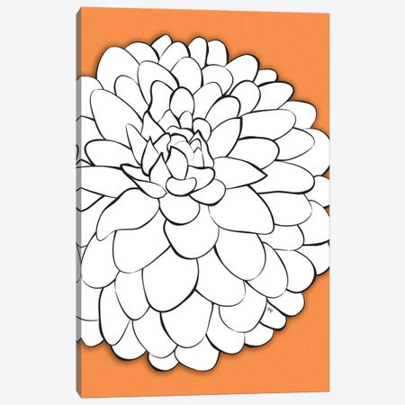 Chrysanthemum Orange Canvas Print #PAV669} by Martina Pavlova Canvas Art Print