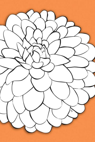 Chrysanthemums: Chrysanthemum Orange by Martina Pavlova