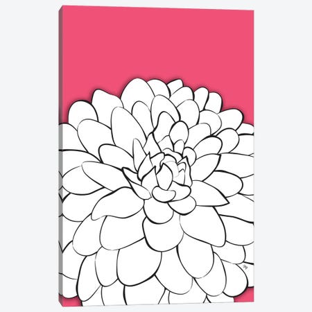 Chrysanthemum Pink Canvas Print #PAV670} by Martina Pavlova Canvas Artwork