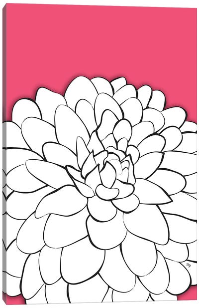 Chrysanthemum Pink Canvas Art Print - Chrysanthemum Art