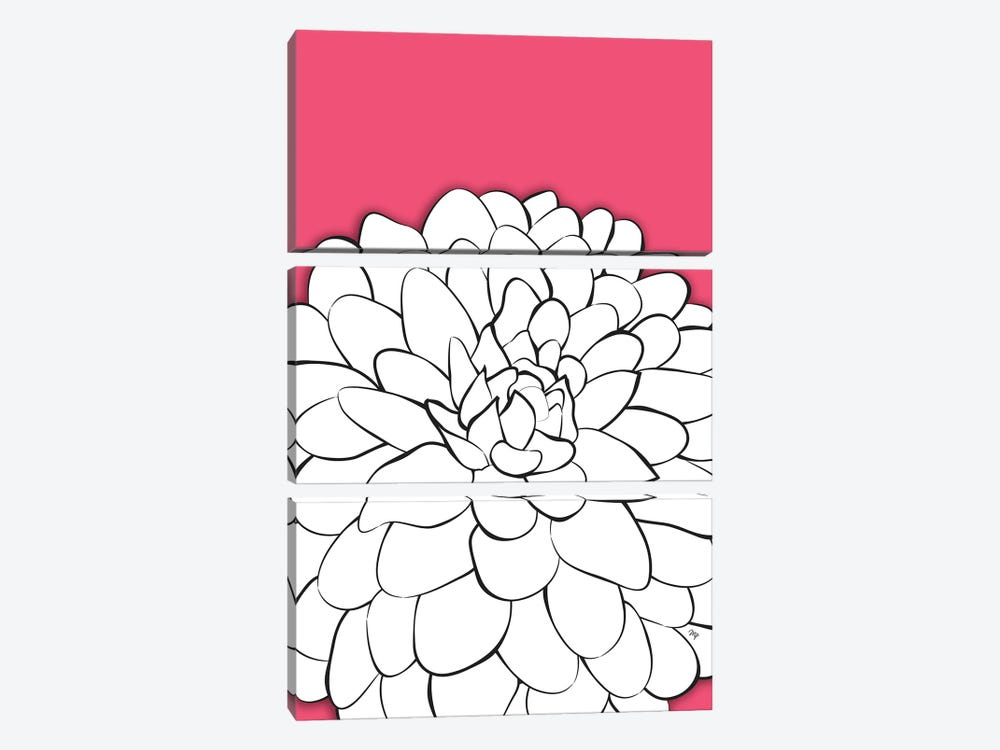 Chrysanthemum Pink by Martina Pavlova 3-piece Canvas Print