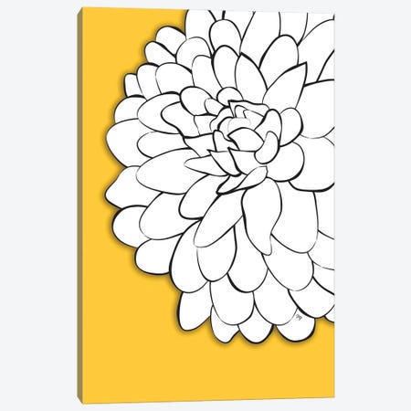 Chrysanthemum Yellow Canvas Print #PAV671} by Martina Pavlova Canvas Artwork