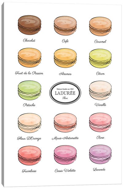 Laduree Macarons Canvas Art Print - Martina Pavlova Food & Drinks