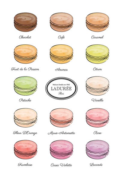 Colorburst: Laduree Macarons by Martina Pavlova