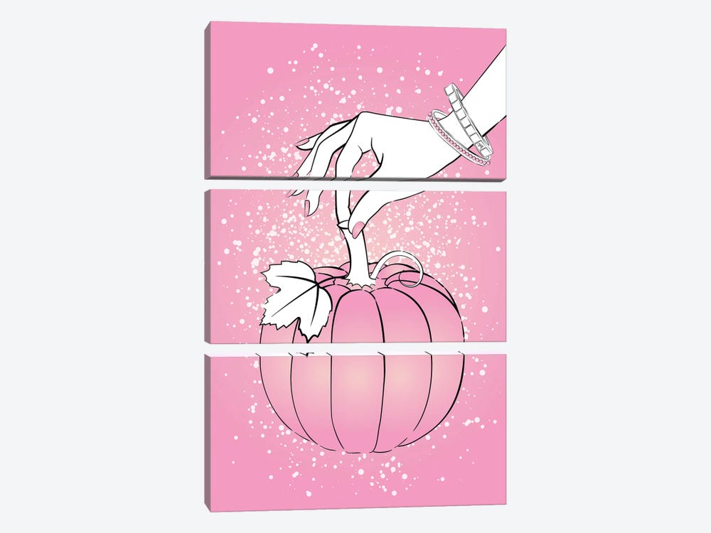 Pink Pumpkin by Martina Pavlova 3-piece Canvas Print