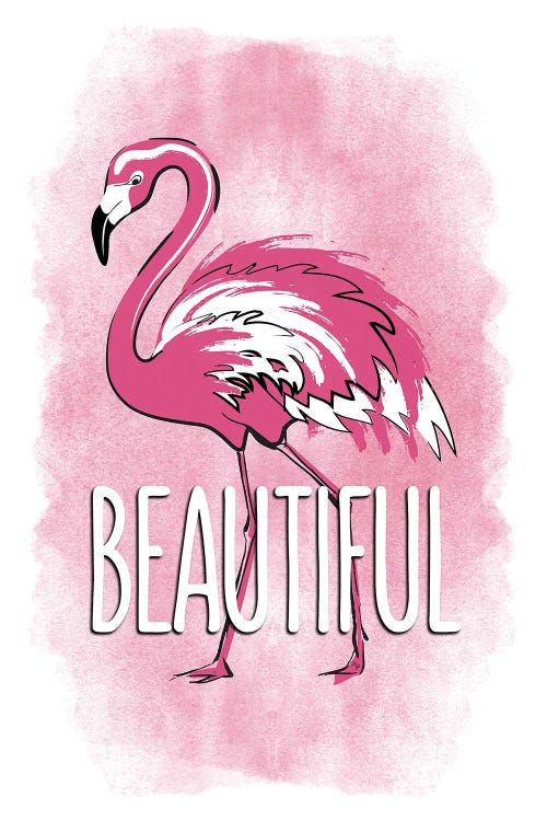 Beautiful Flamingo