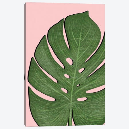 Exotic Leaf I Canvas Print #PAV910} by Martina Pavlova Canvas Art Print