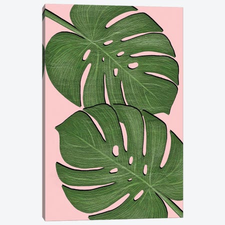 Exotic Leaf II Canvas Print #PAV911} by Martina Pavlova Art Print
