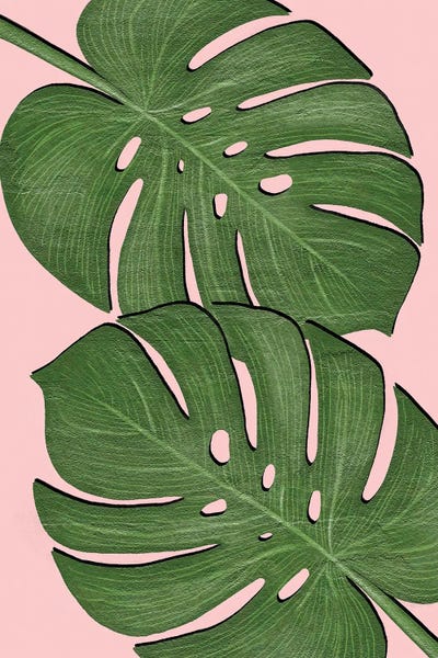 Monsteras: Exotic Leaf II by Martina Pavlova