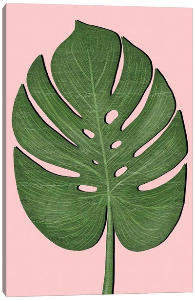 Exotic Leaf III Canvas Art Print - Monstera Art