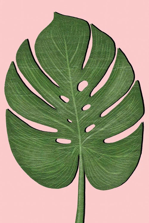 Exotic Leaf III